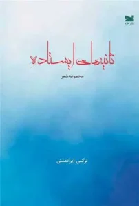 کتاب ثانیه‌ های ایستاده