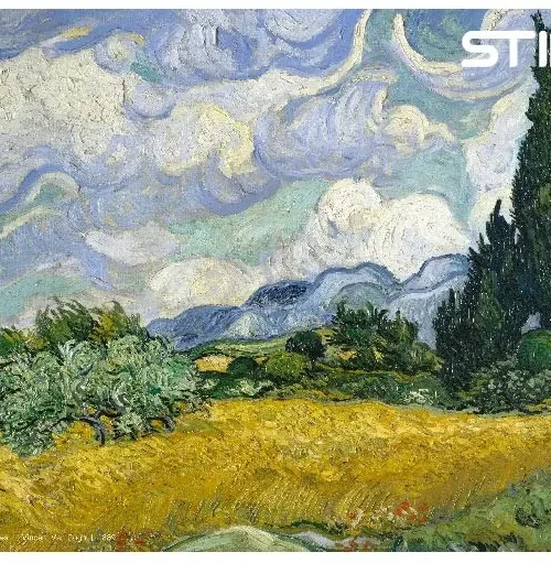 پازل گندمزار با کلاغ‌ ها