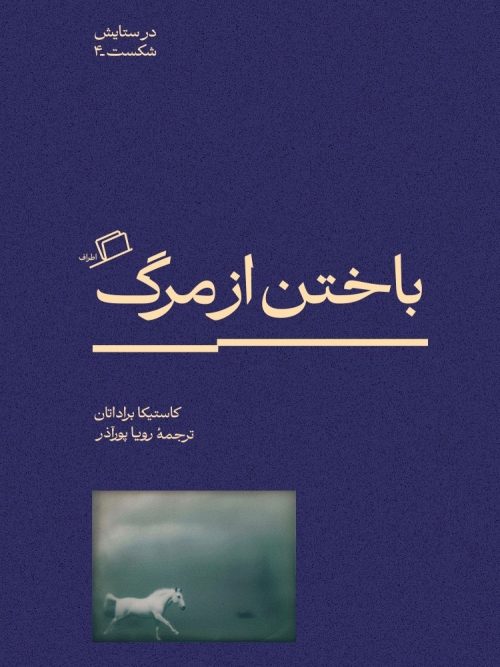 کتاب باختن از مرگ در ستایش شکست 4